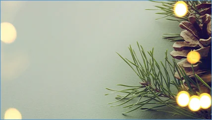 Banner menús de navidad en pie de página